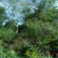 3122 Cedar Street, Scottdale, GA 30079 ID:2536993