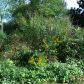 3122 Cedar Street, Scottdale, GA 30079 ID:2536994