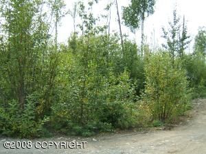 692 S Repose Road, Big Lake, AK 99652