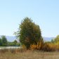 33 S HIGHWAY 33, Driggs, ID 83422 ID:1046470