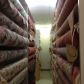 5066 Winters Chapel Road, Atlanta, GA 30360 ID:3116261