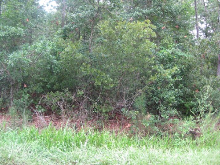 0 County Road 1, Fairhope, AL 36532