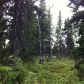 1114 Channel Way, Kenai, AK 99611 ID:1078558