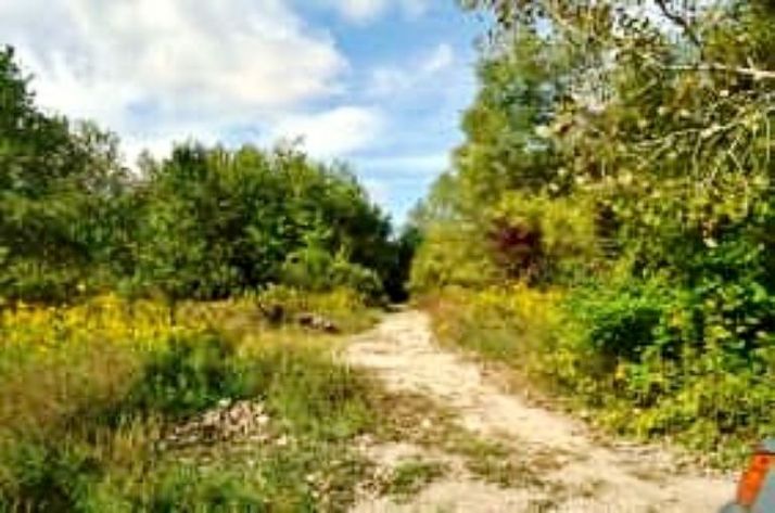 W Of Novy Rd & E Of Mitchell St &, Braidwood, IL 60408