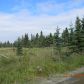 35100 Driftnetter Street, Kenai, AK 99611 ID:1078529