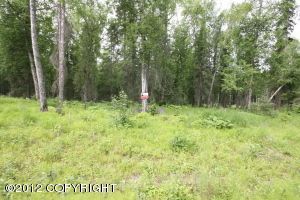 3604 N Copperspike Street, Wasilla, AK 99654