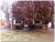 7902 Tances Drive Cincinnati, OH 45243