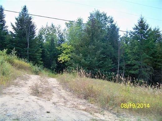 Manton St #42, Manton, MI 49663