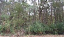 8606 Scottish Troon Ct. North Charleston, SC 29420