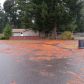41 East Rainbow Place, Shelton, WA 98584 ID:3348415