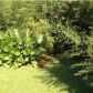 104 RAILROAD AVE, Saint George, SC 29477 ID:1904970