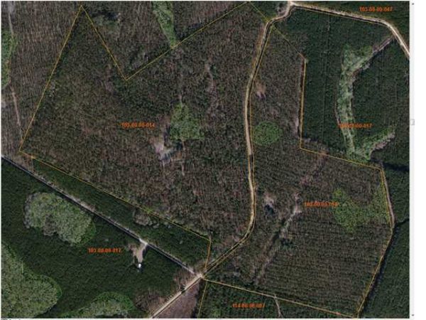 0 HATTERAS BLF, Saint George, SC 29477