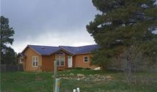 154 Woodsman Drive Pagosa Springs, CO 81147