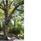 Co. Rd. 391, Clanton, AL 35045 ID:1382035