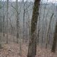 1551 Howell Bridge Road, Ball Ground, GA 30107 ID:4608962