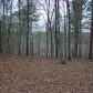 1551 Howell Bridge Road, Ball Ground, GA 30107 ID:4608964