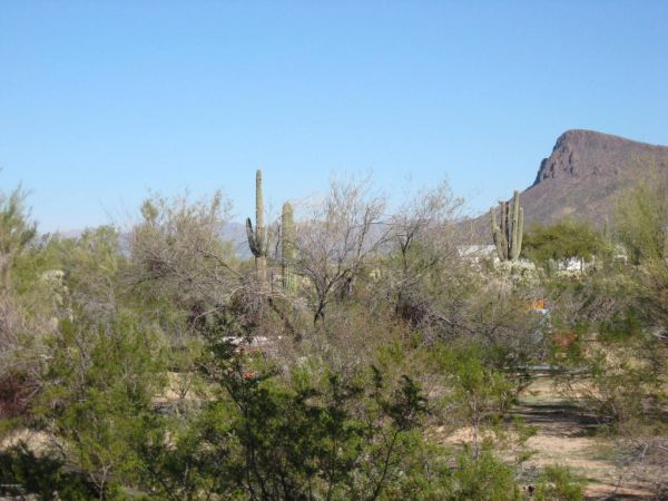 10760 W Rudasill, Tucson, AZ 85743