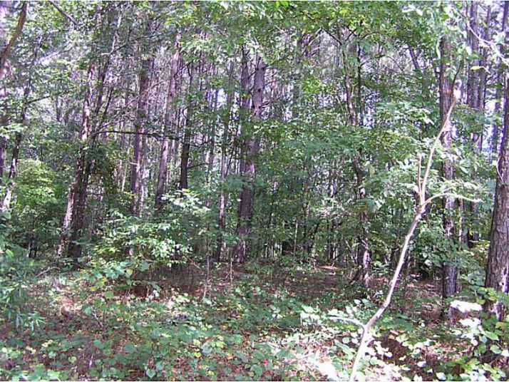 9946 Hickory Flat Highway E, Woodstock, GA 30189