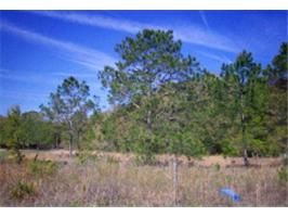 0 SE 57 Court, Trenton, FL 32693