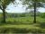 109 Hill Gray Rd Ravenden, AR 72459