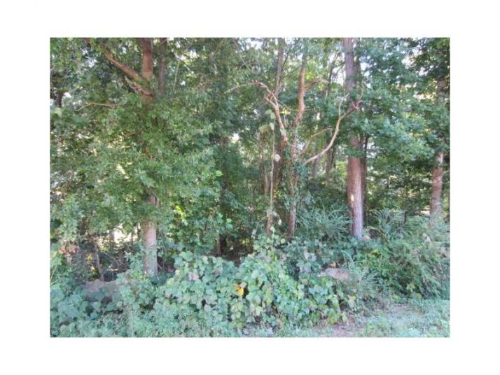 2060 Rockdale Circle, Snellville, GA 30078