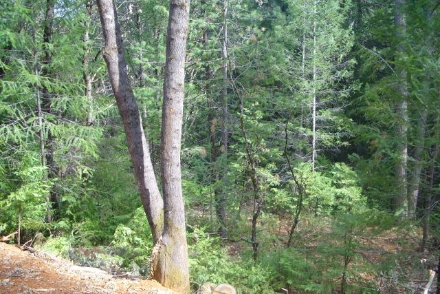 1,2,3 Axle Court, Grass Valley, CA 95945