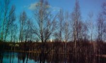 2791 N Lagoon Drive Wasilla, AK 99654