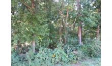 2060 Rockdale Circle Snellville, GA 30078