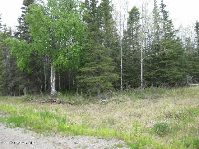 18129 Loveall Loop, Clam Gulch, AK 99568