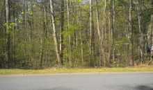 141 Dockside Downs Drive Woodstock, GA 30189