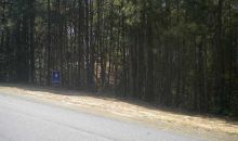113 Dockside Downs Drive Woodstock, GA 30189