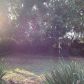 6215 Flores Ave, Los Angeles, CA 90056 ID:2443802