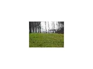 35,36,37 COBBLESTONE Ct, Kuttawa, KY 42055