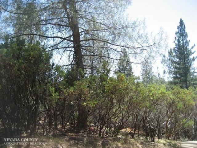 18005 Old Coach Way, Grass Valley, CA 95945