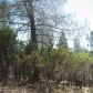 18005 Old Coach Way, Grass Valley, CA 95945 ID:1137841