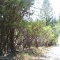 18005 Old Coach Way, Grass Valley, CA 95945 ID:1137843