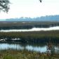 0 ARCHFIELD AVE, Hollywood, SC 29449 ID:1092739