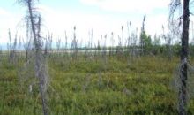 1161 S Rogers Court Big Lake, AK 99652