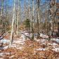00 Roderweis, Jacksonville, AR 72076 ID:2933865
