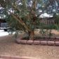 7057 E Calle Centuri, Tucson, AZ 85710 ID:1653472