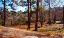 3877 Panthersville Road Ellenwood, GA 30294