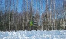 2514 N Larry Trail Wasilla, AK 99654