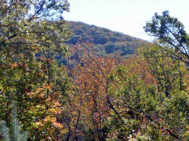 190 Willow Drive, Jasper, GA 30143