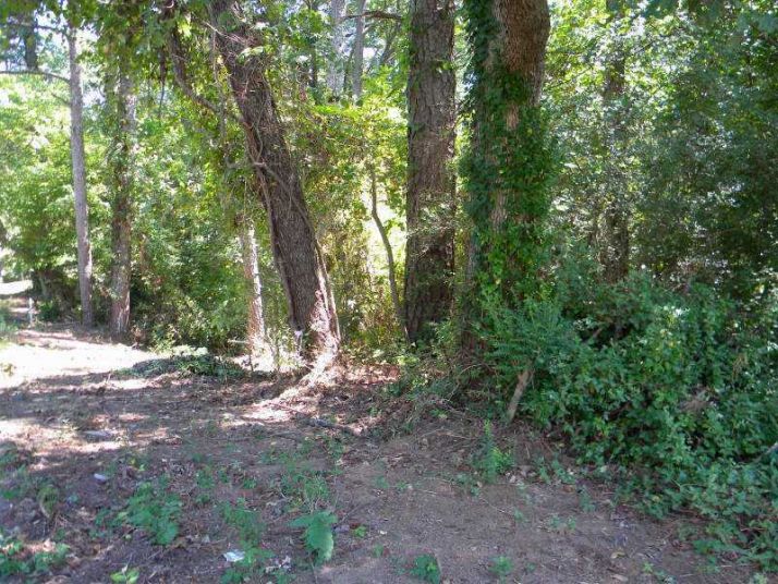 1677 Cecile Avenue Se, Atlanta, GA 30316