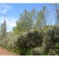 15610 Siskiyou Court, Grass Valley, CA 95949 ID:1147251