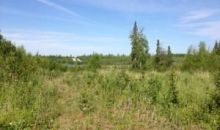 1164 N Beaver Lake Road Big Lake, AK 99652