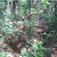 LOT B 0 WALKING HORSE RD, Hollywood, SC 29449 ID:3112222