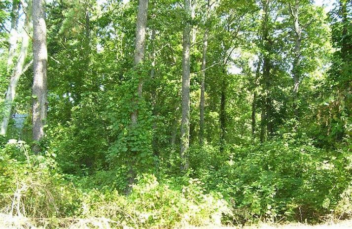 Pinecrest Beach, East Falmouth, MA 02536