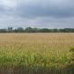 9-13 N Lewis Ave, Oglesby, IL 61348 ID:644612