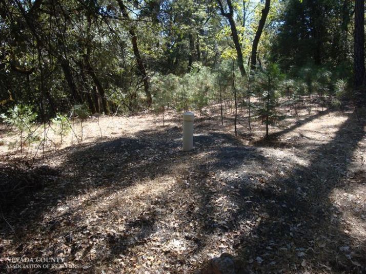 13627 Call of the Wild, Grass Valley, CA 95945